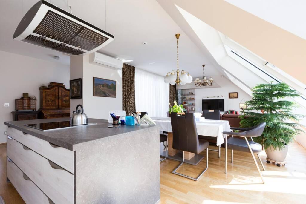 Apartament Grosses Penthouse #12 Mit Terrasse Und Aussicht Wiedeń Zewnętrze zdjęcie
