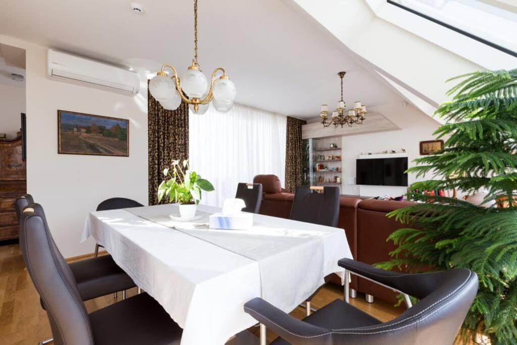 Apartament Grosses Penthouse #12 Mit Terrasse Und Aussicht Wiedeń Zewnętrze zdjęcie